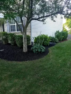 All Bases Covered Property Services - Carpentry & Woodworking in Indianapolis, IN