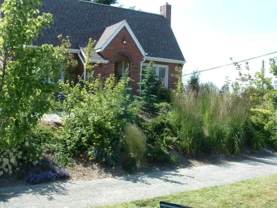 Plantings & Landscape - West Seattle, WA — Landscape Construction project by Borealis Landscape & Design DBA Skipley Farm