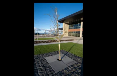 Boulder Landscaping - Outdoor Lighting Installation in Bluffdale, UT