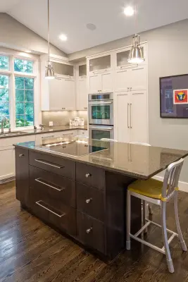 Modern Craftsman — Home Renovation & Remodeling Services project by Craig Tuttle Construction, Inc.