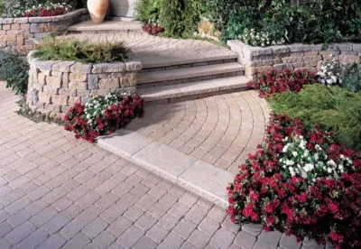 BR Design Build - Tree & Shrub Care in Annapolis, MD