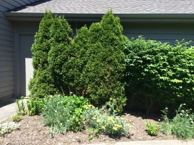 Bobbie's Green Thumb - Landscape Design in Shaker Heights, OH