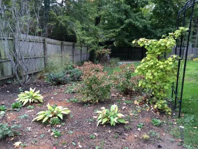Bobbie's Green Thumb - Landscape Design in Shaker Heights, OH
