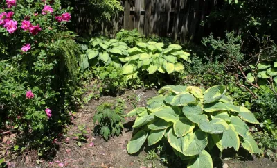 Bobbie's Green Thumb - Landscape Design in Shaker Heights, OH