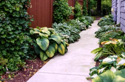 Brian-Kyles Landscapes of Distinction - Landscape Maintenance in Lorain, OH