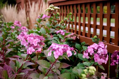 Woodland Landscape Rocky River — Landscape Construction project by Brian-Kyles Landscapes Of Distinction