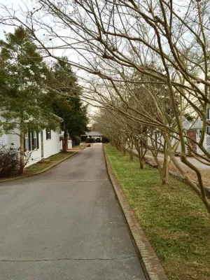 Bright Landscapes LLC - Landscape Maintenance in Cullman, AL
