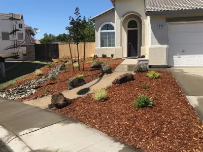 Front yard turf removal and drought tolerant install — Landscape Construction project by Brio Landscaping