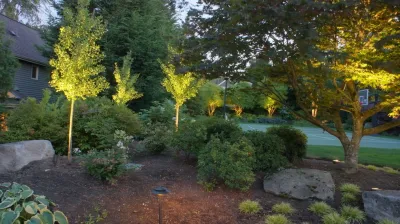 Britescape - Drip Irrigation System Installation in Seattle, WA