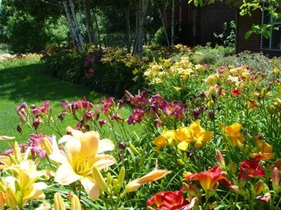 Brochu Nurseries Landscaping & Garden Center - Landscape Maintenance in Concord, NH