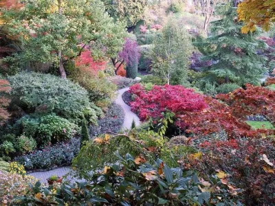 Brochu Nurseries Landscaping & Garden Center - Landscape Maintenance in Concord, NH