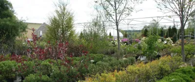 Brochu Nurseries Landscaping & Garden Center - Landscape Maintenance in Concord, NH