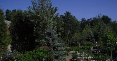 Landscape Gallery — Landscape Construction project by Brochu Nurseries Landscaping & Garden Center