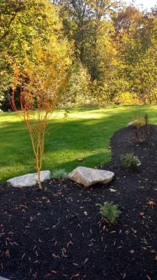 Landscape Renovation with Lawn Installation Port Orchard by Brookside Landscape And Design