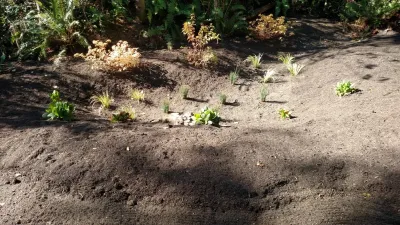 Brookside Job Photos — Landscape Construction project by Brookside Landscape And Design in Bremerton