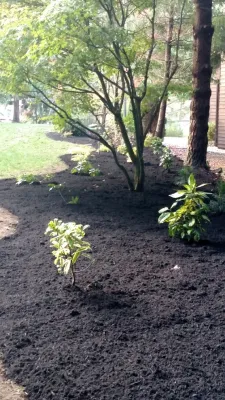 Landscape Bed Renovation Silverdale WA — Landscape Construction project by Brookside Landscape And Design in Bremerton