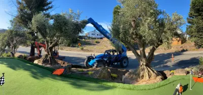 Brothers Landscaping Inc. - Drip Irrigation System Installation in Rohnert Park, CA