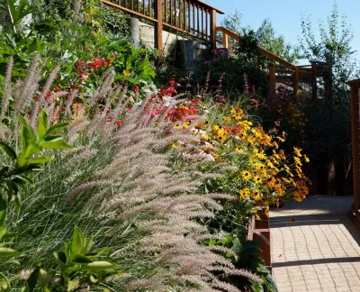 San Anselmo Garden — Landscape Construction project by Buchholz Landscaping Company