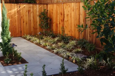 Buchholz Landscaping Company - Drip Irrigation System Installation in Fairfax, CA
