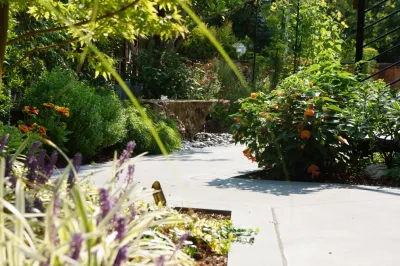 Larkspur Garden — Landscape Construction project by Buchholz Landscaping Company