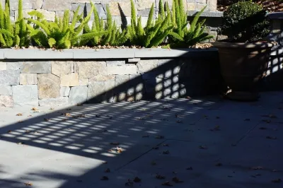 Buchholz Landscaping Company - Drip Irrigation System Installation in Fairfax, CA
