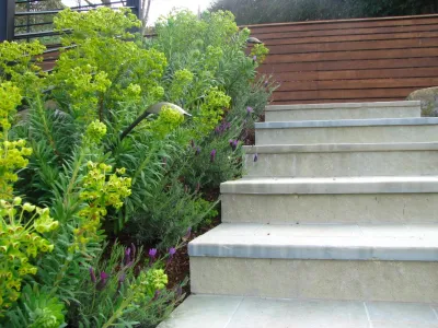 Buchholz Landscaping Company - Drip Irrigation System Installation in Fairfax, CA
