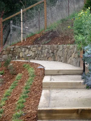 Mill Valley Garden — Landscape Construction project by Buchholz Landscaping Company