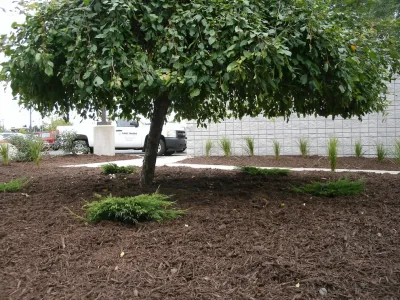 Green Side Up - Landscape Construction in Alma, MI