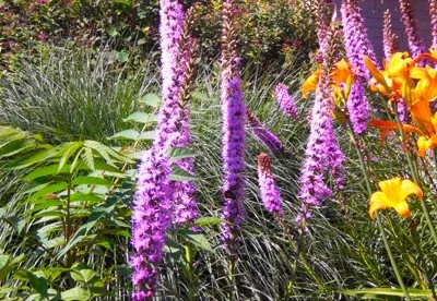 Bushwackers Landscaping, Inc. - Landscape Maintenance in Redford, MI