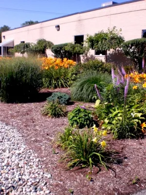 Bushwackers Landscaping, Inc. - Landscape Maintenance in Redford, MI