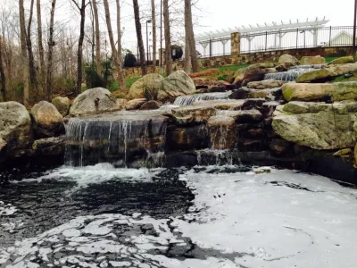 Bushwackers Landscaping LLC - Tree & Shrub Care in Charlotte, NC