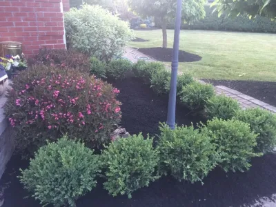 Busy Beaver Lawn & Garden - Tree & Shrub Care in Hamburg, NY