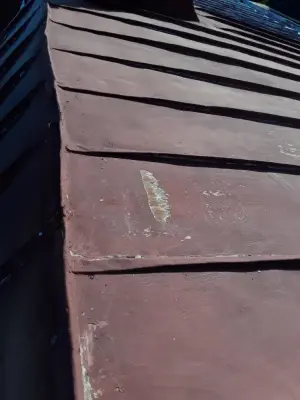 19th Century Terne Metal Roofing — Home Renovation & Remodeling Services project by Tideline Homes