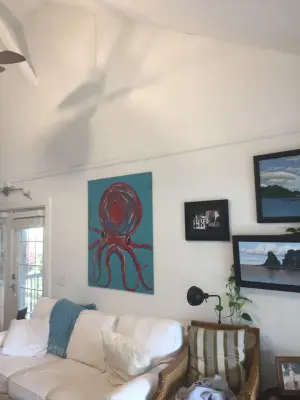 Veranda Shield — Home Renovation & Remodeling Services project by Tideline Homes