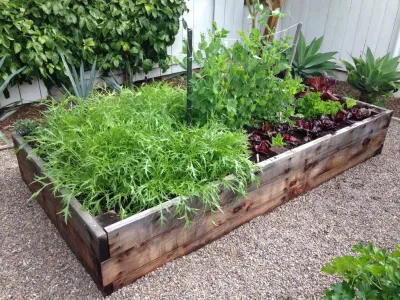 California Farm and Garden - Garden Remodeling in San Diego County, CA