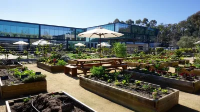 Urban Farms — Landscape Construction project by California Farm And Garden in San Diego
