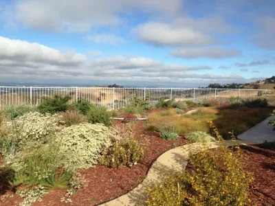 California Nativescapes - Garden Remodeling in San Jose, CA