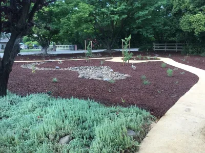 California Nativescapes - Garden Remodeling in San Jose, CA