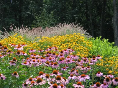 Caliper Farms Nursery and Landscape Services - Retaining Wall Construction in Belle Mead, NJ