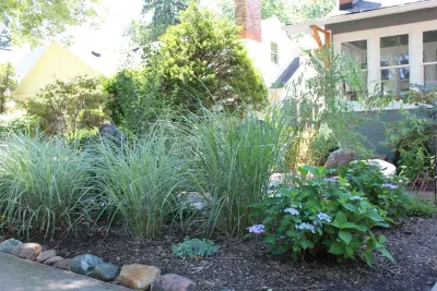 Canopy Landscapes - Outdoor Lighting Installation in Ann Arbor, MI