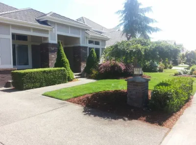 Capital City Landscaping - Land Cleaning in Olympia, WA
