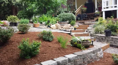 Capital City Landscaping - Land Cleaning in Olympia, WA
