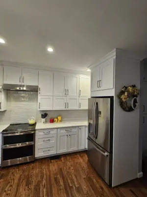 Modern Kitchen 75 - 100K — Home Renovation & Remodeling Services project by Conservation Renovations Inc.