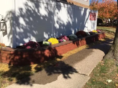 Caruso Property Services - Lawn Edging & Trimming in Bloomfield, NJ