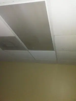 Wall Coating — Home Renovation & Remodeling Services project by Lizards Business Venture, LLC