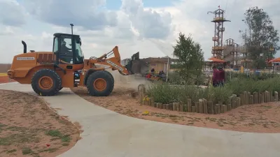 Cat's Landscape Services - Tree & Shrub Care in Pflugerville, TX
