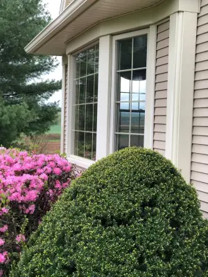 Harry A. Starr & Son - Roofing & Gutter Services in Agawam, MA