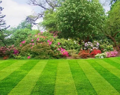 Central Big & Small Landscaping LLC - Landscape Construction in Berlin, CT