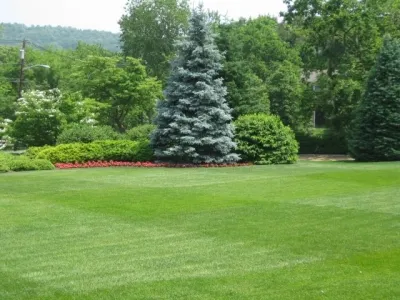 Cerami Lawns - Lawn Aeration in Toms River, NJ