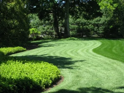 Cerami Lawns - Lawn Aeration in Toms River, NJ